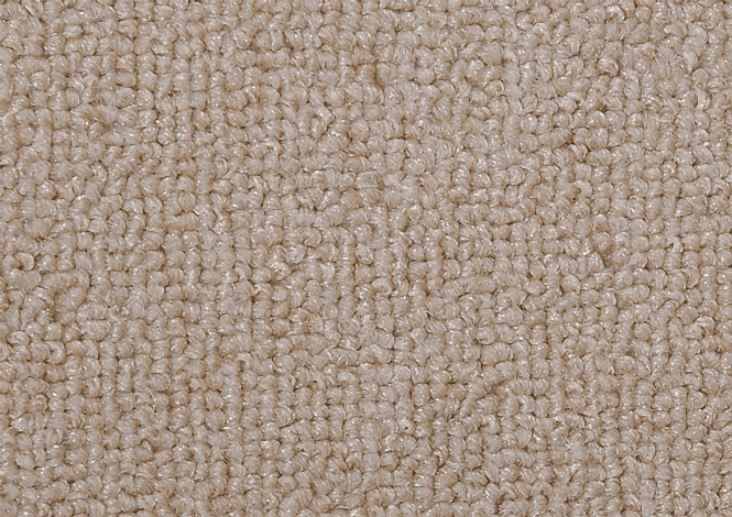 Aslan Bej Renk Golf Avantaj Bukle Duvardan duvara halı bej rengi bukle halı modeller döşemelik halı bej rengi bukle halı kaplama ofis halı döşeme bej rengi Bukle halı fiyatı en uygun bukle