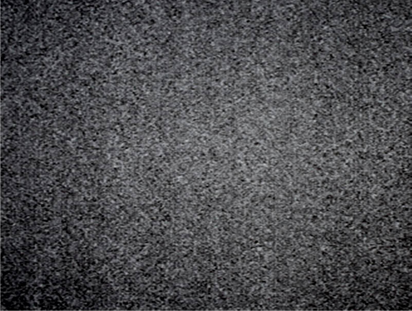 Atlantis 1701 Samur Karo Halı Atlantis 1701 Düz renk Karo Halı Ofis Otel zemin kaplama halı döşeme 50x50 plank karo Samur Karo Halı Atlantis Karo Halı Renkleri Ofis halı döşeme karo halı karo halı karo halı modelleri karo halı karo halı renkleri karo halı fiyatları ofis