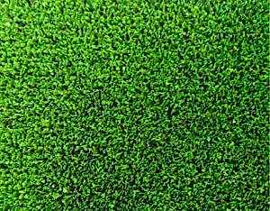 Samur Çim Halı | 7mm doğa çim halı