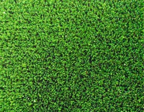 Samur doğa çim halı 6mm