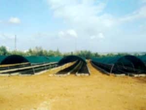 Sera Gölgeleme Filesi – Yüzde 95lik