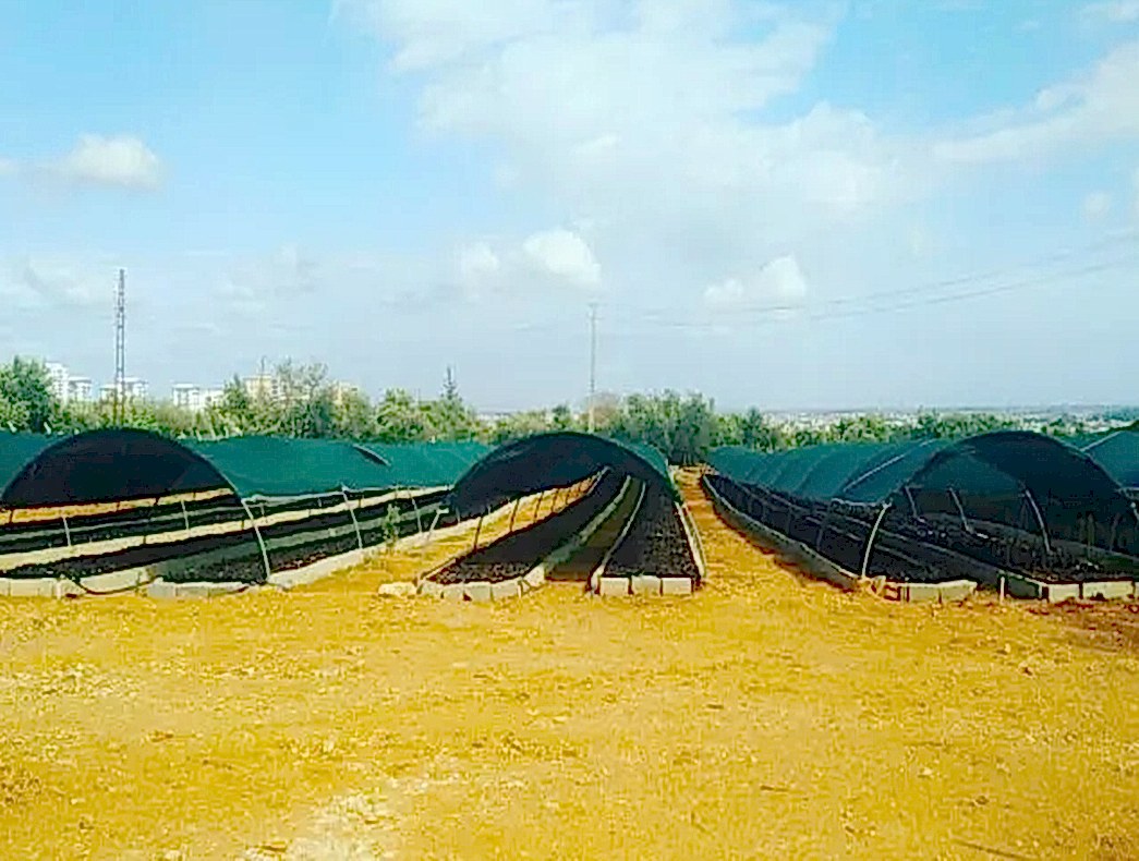 örtü Sera filesi Sera çit örtüsü gölgeleme filesi Çit örtüsü Toptan Çit filesi sera güneş kesme filesi sera yeşil çit filesi 95 lik sera çit örtüsü