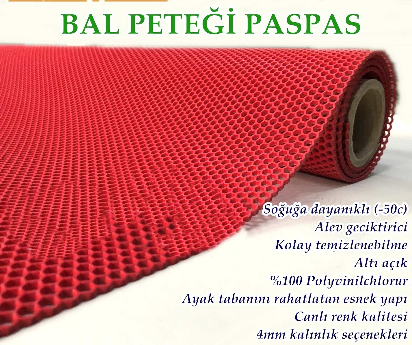 WhatsApp Image 2019-03-27 at 13.32.00