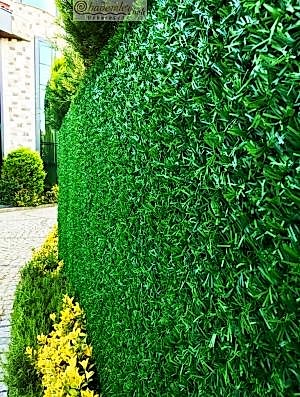 Çimenli Çit Çim Çit