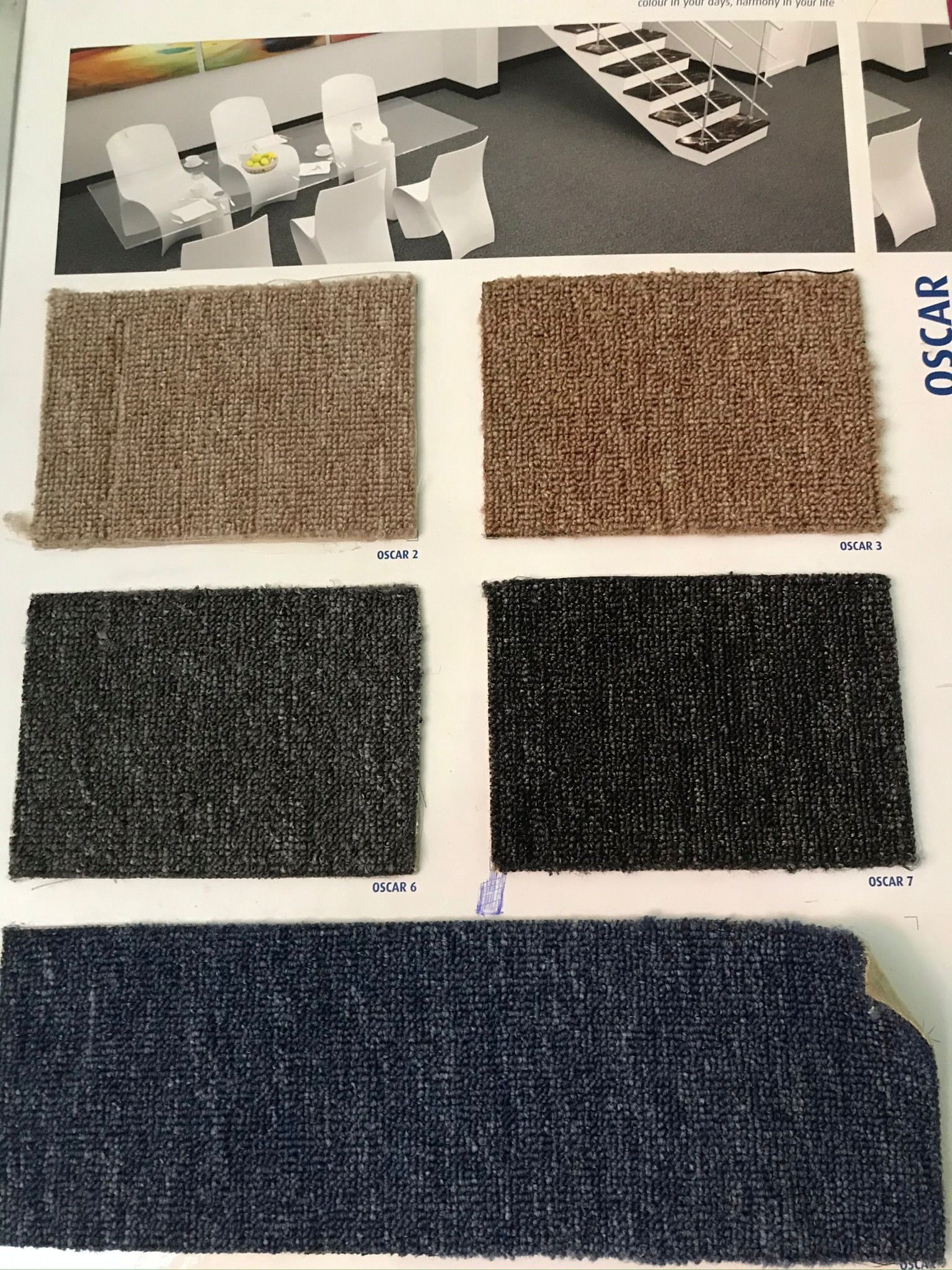 985a569c-28c6-479f-a606-d9c15df517e4